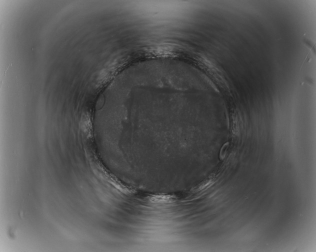 X0000102220465200808081320