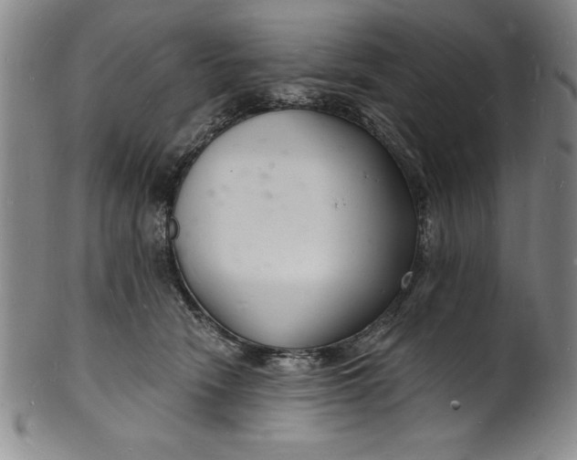 X0000102220466200808081320