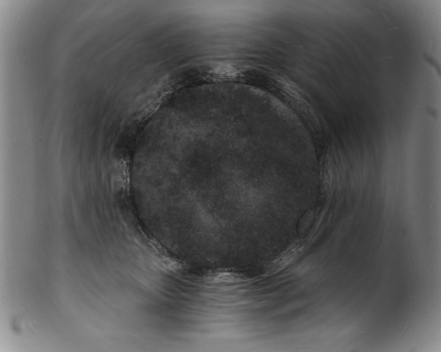 X0000102220467200808081320