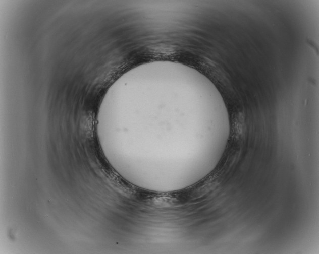 X0000102220468200808081320