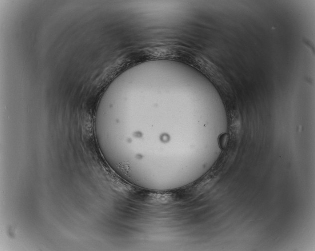 X0000102220469200808081320