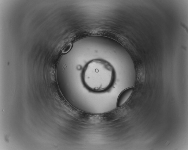 X0000102220470200808081320