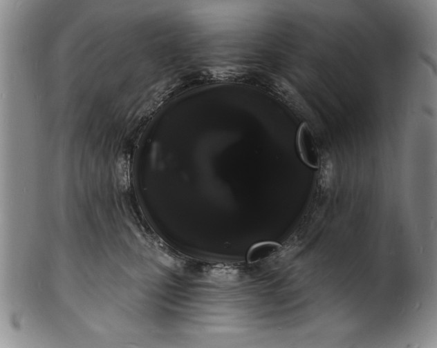 X0000102220471200808081320