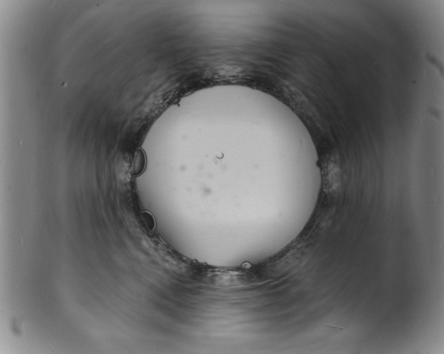 X0000102220472200808081320