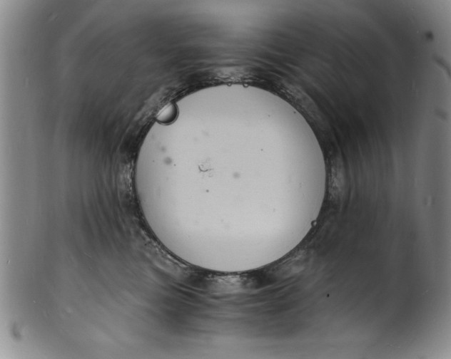 X0000102220473200808081320