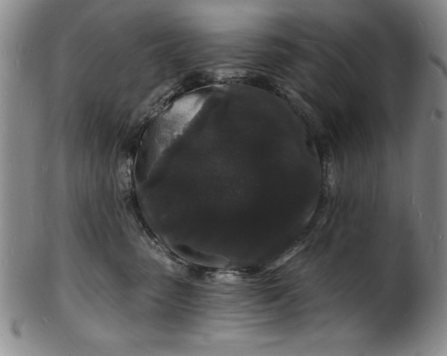 X0000102220475200808081321