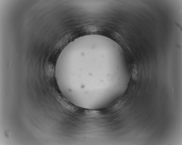 X0000102220476200808081321