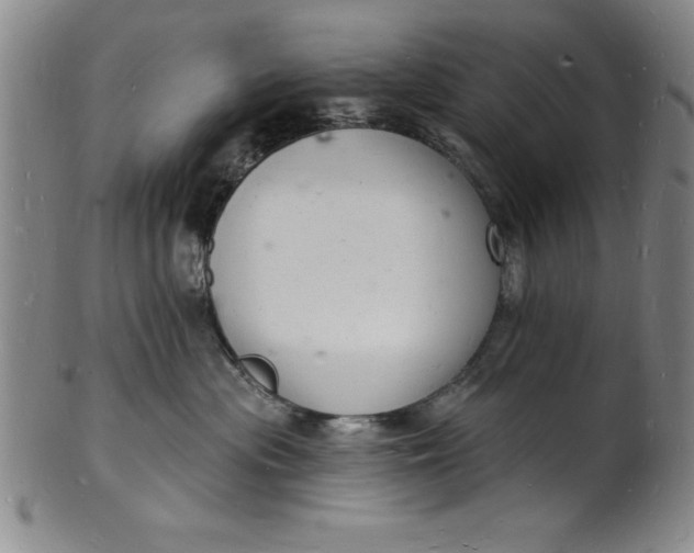 X0000102220477200808081321