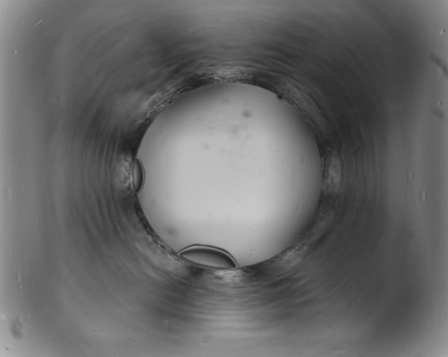 X0000102220478200808081321