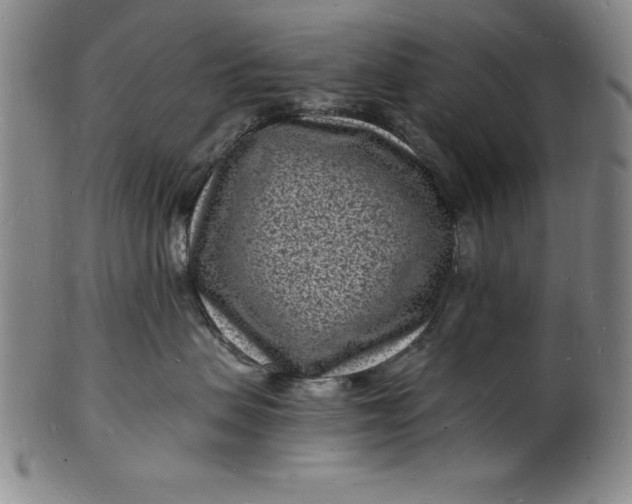 X0000102220479200808081321