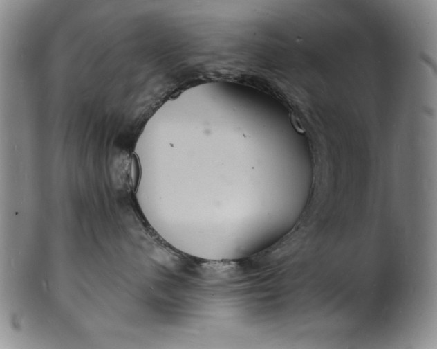 X0000102220480200808081321