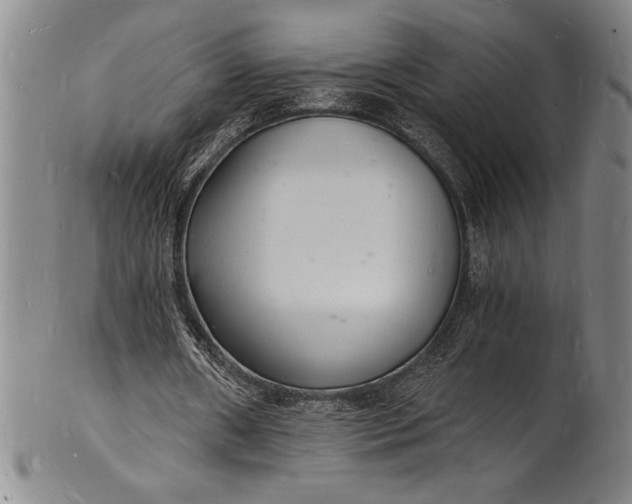 X0000102220482200808081320