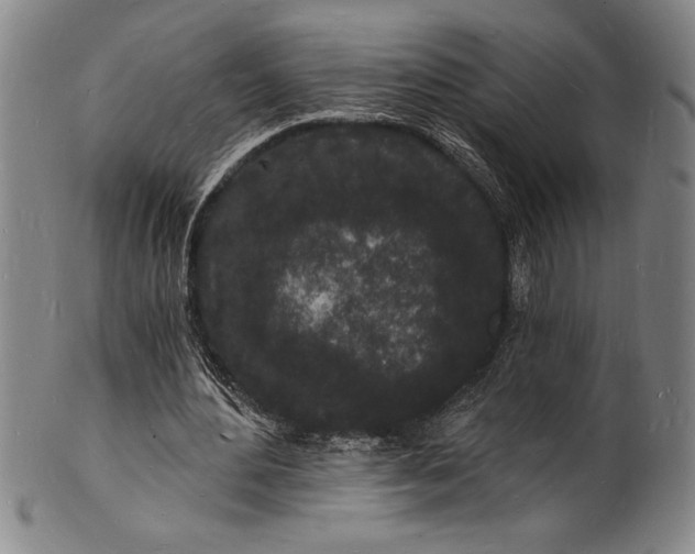 X0000102220484200808081320