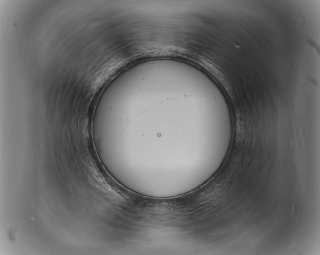 X0000102220485200808081320