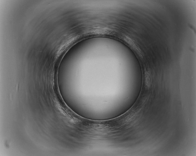 X0000102220486200808081320