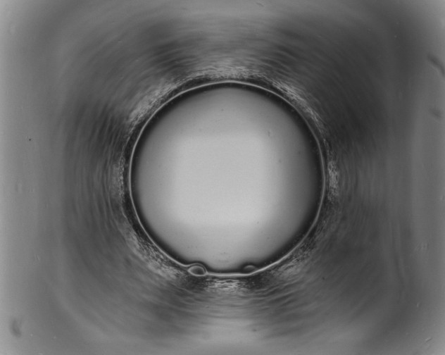 X0000102220487200808081320