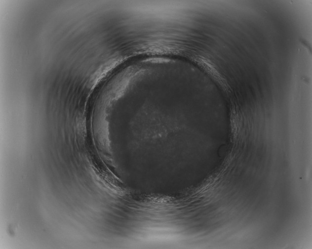 X0000102220488200808081320