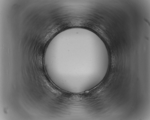 X0000102220489200808081320