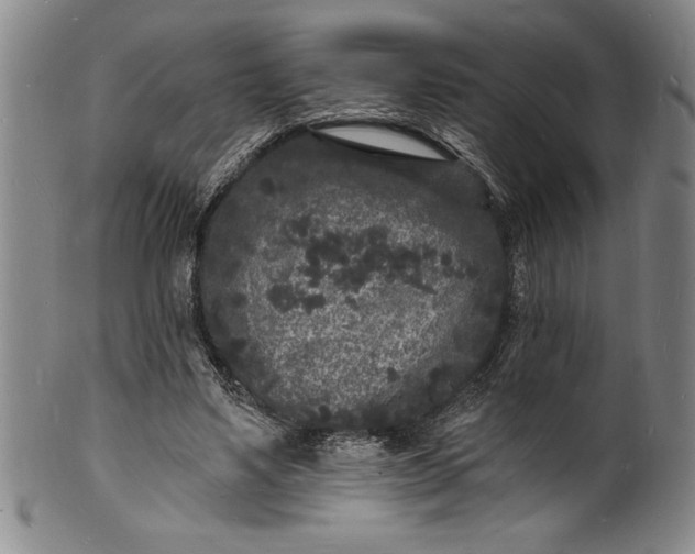 X0000102220491200808081320