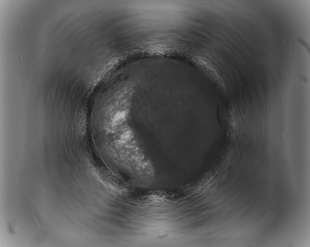 X0000102220496200808081320