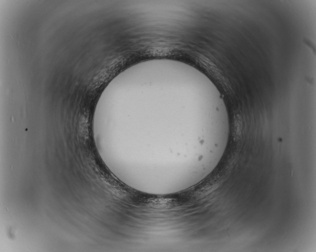 X0000102220497200808081320