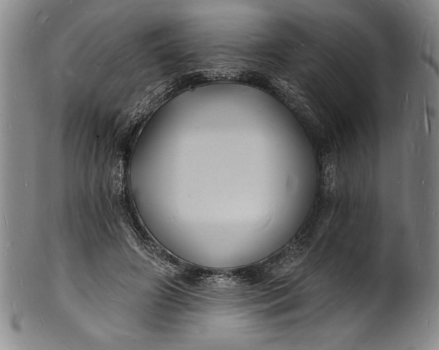 X0000102220498200808081320