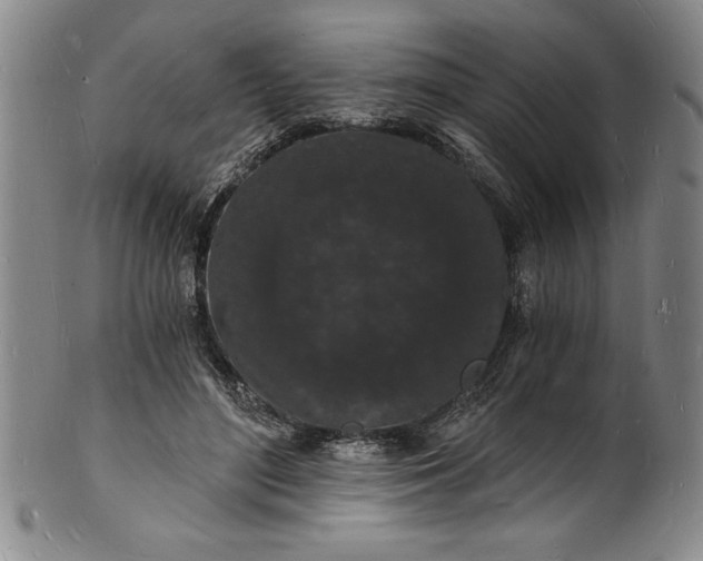 X0000102220500200808081320