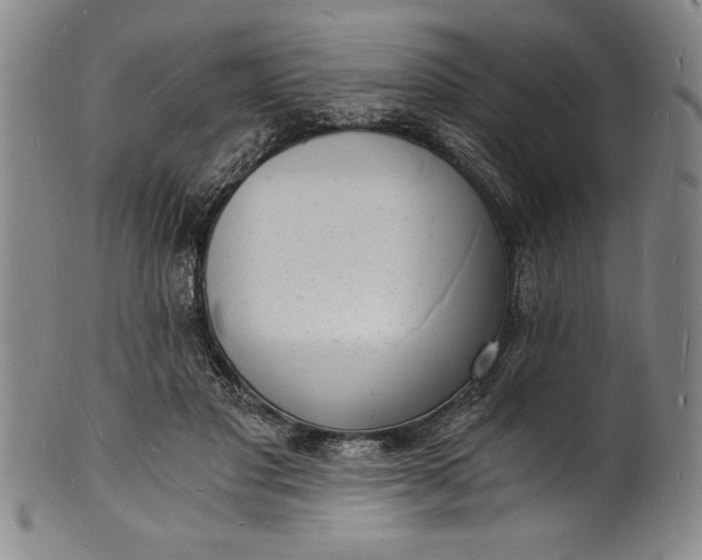 X0000102220501200808081320