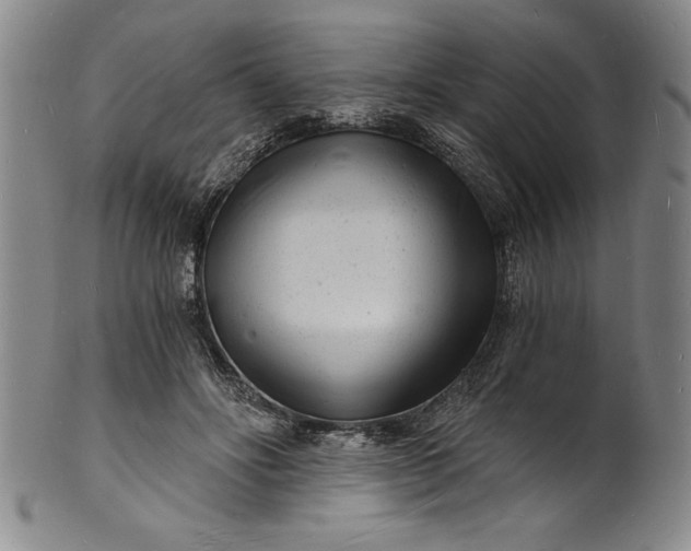 X0000102220502200808081320