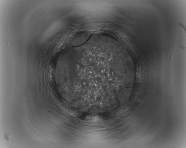 X0000102220503200808081320