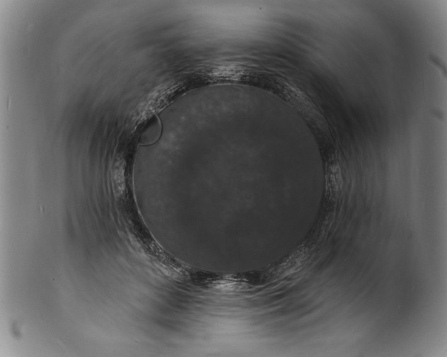 X0000102220504200808081320