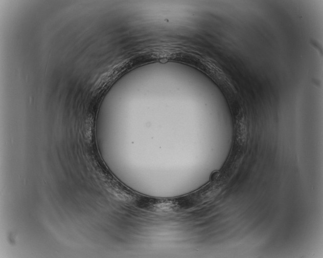 X0000102220505200808081320