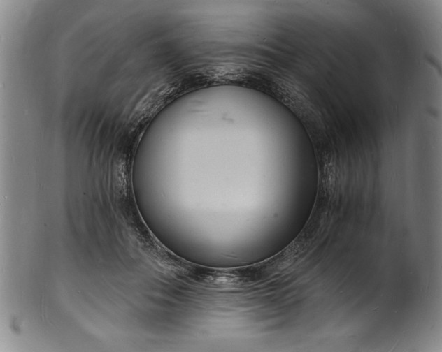 X0000102220506200808081320