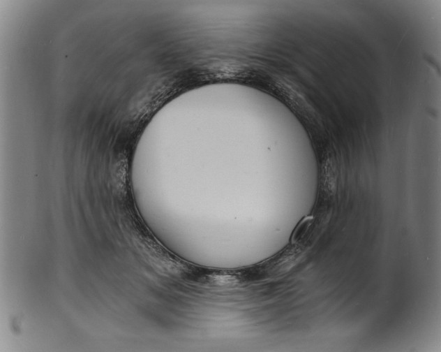 X0000102220509200808081320