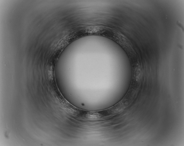 X0000102220510200808081320