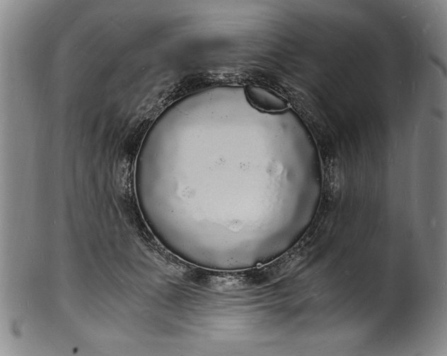 X0000102220511200808081320