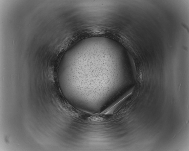 X0000102220512200808081319