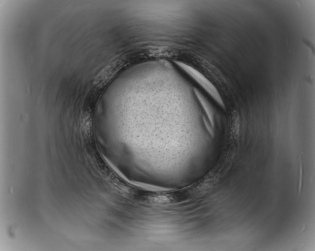 X0000102220513200808081319