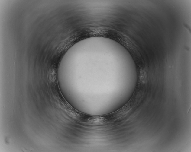 X0000102220514200808081319