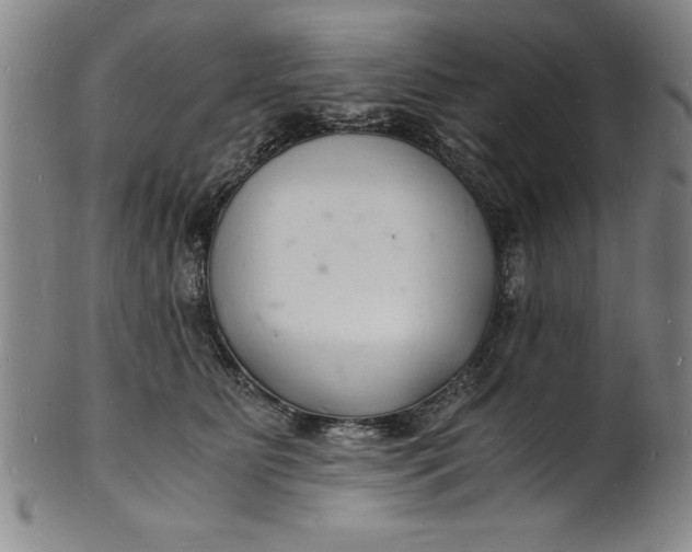 X0000102220515200808081319