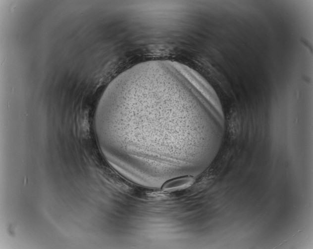 X0000102220516200808081319