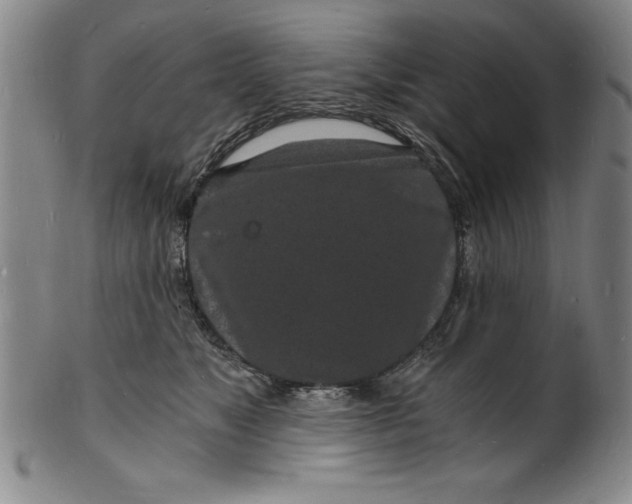 X0000102220517200808081319