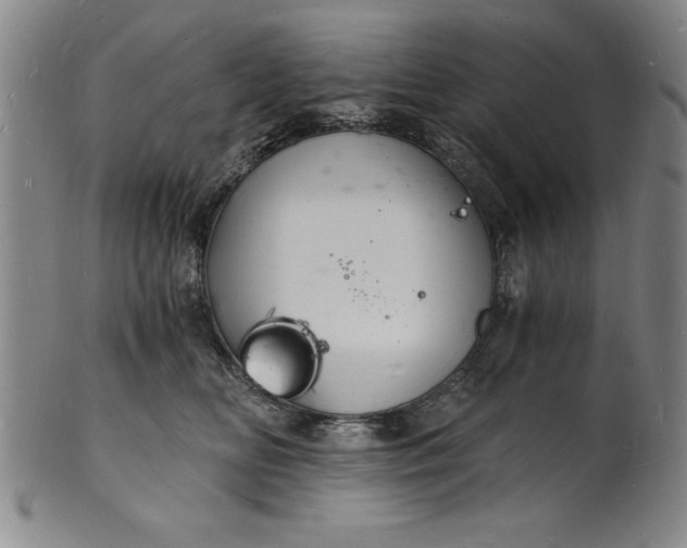 X0000102220518200808081319