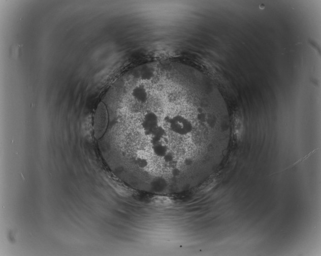 X0000102220519200808081319