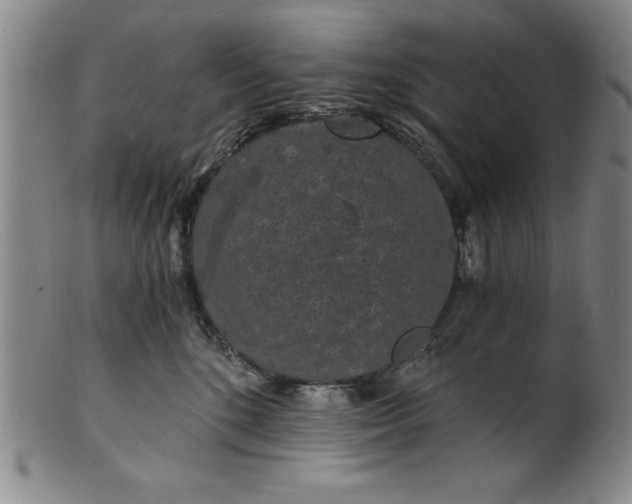 X0000102220520200808081319