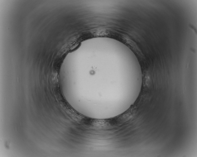 X0000102220521200808081319