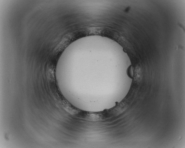 X0000102220522200808081319