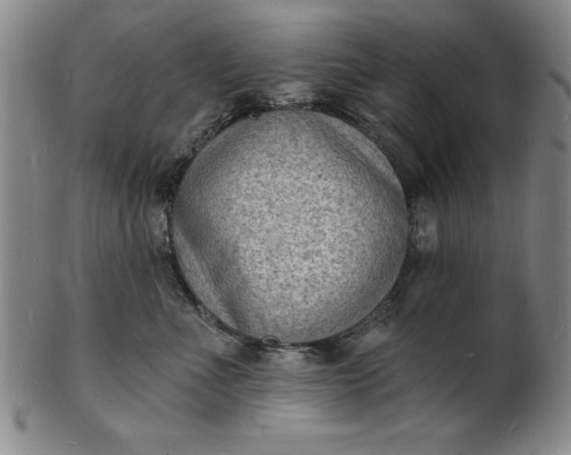 X0000102220523200808081319