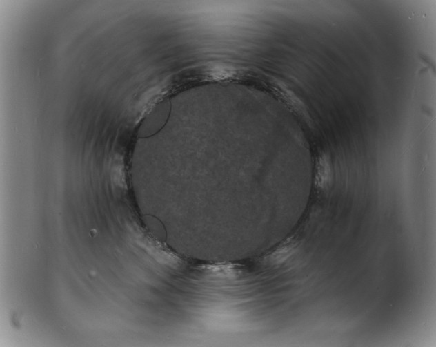 X0000102220524200808081319