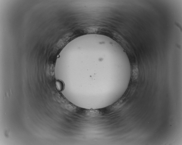 X0000102220525200808081319